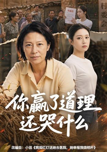 你赢了道理还哭什么(全集)
