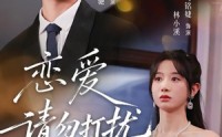 恋爱请勿打扰(全集)