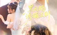 黑天鹅诱捕法册(全集)
