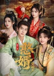 贤婿之憨婿(全集)