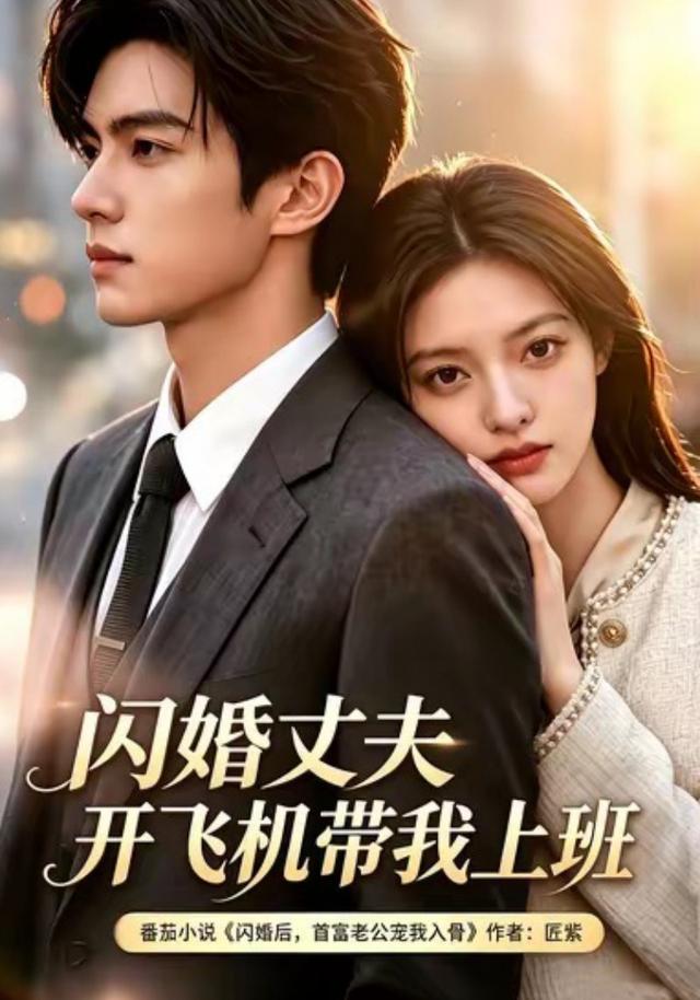 闪婚丈夫,开飞机带我上班第三季(全集)